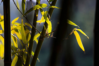 一男一女床上坤坤对坤坤:双人驾驶默契大考验,极速拍档创新合作玩法深度解析-3