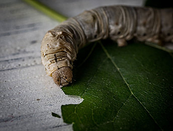 男生和女生一起差差app：双人竞速新作极速搭档上线，差异化协作引爆赛道狂飙-3