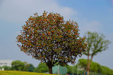 四川女大战黑人40厘米：极速狂飙山道对决，双雄贴身缠斗上演弯道争霸-4