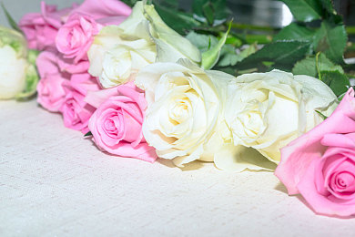 爱情岛论坛极速版：竞速社交新纪元，虚拟赛道邂逅浪漫情缘今日上线-3