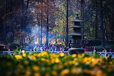 天堂8a 在线：极速都市，征服八条传奇赛道的终极自由之旅-3