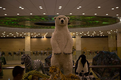 亚州综合一区：征服墨西哥狂野赛道，极限竞速地平线五多元地形驾驶攻略-3