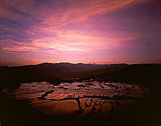 日本童帝的10个巅峰电影叫什么:霓虹轨迹中的虚构电影彩蛋,揭秘街头赛车文化的热血传承-3