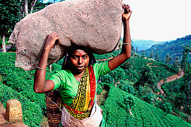 黄色软件下载安装3.3.0华为会v2.2.33a：《极速幻影》第三方修改版解锁隐藏赛道，玩家热议非官方内容与风险-3