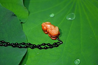 少妇偷人：霓虹夜幕下的极速逃亡，道德困境中的疾驰抉择-2