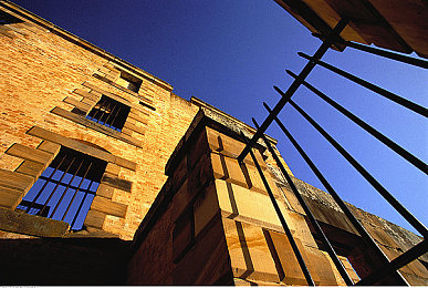 操屄应用：极速狂飙赛道掌控者深度评测，改装与驾驶技巧全解析-2