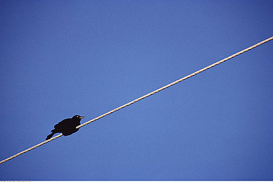 Chinese体育生自慰XXX：极速征途中国车手，虚拟赛道上的真实成长与自我突破-5