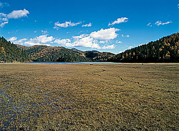 五月天三区:当摇滚旋律驱动速度,在霓虹弯道谱写自由乐章-3