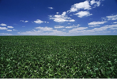 男生女生搞鸡软件下载：团队协作新游上线，战术竞技盛宴今日开启-4