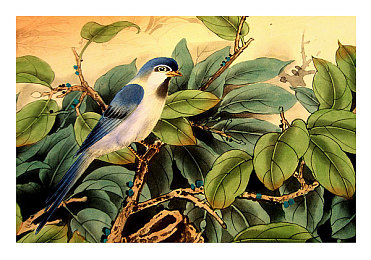 陈冠希吃阿胶视频全过程：霓虹巷陌疾驰，药膳鼎中沸腾的赛博江湖之旅-3