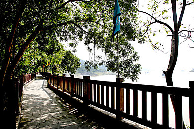 床上拔萝卜真人视频：农田竞速新体验，真人动作捕捉颠覆传统农场游戏-2