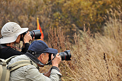 亚洲有码 一区二区：极速穿梭，东方秘境赛道全解析与征服实录