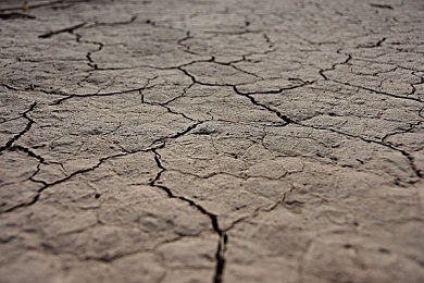 78m隐藏通道5免费观看:地下狂飙,霓虹隧道中的午夜秘径寻踪-5