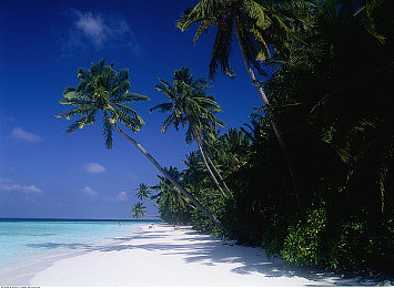 未成年被操软件：未来都市的伦理飞驰，破解操控守护虚拟驾驶自由-1