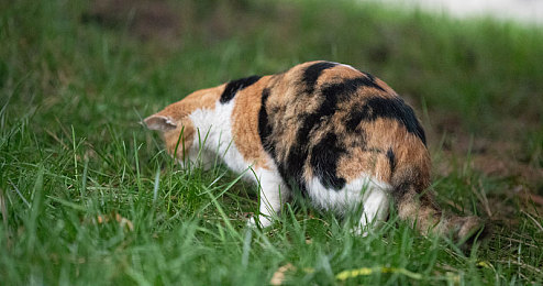 成人性做爰直播app：虚幻5硬核竞速新作今日上线，直播互动改写赛道对决结局-3