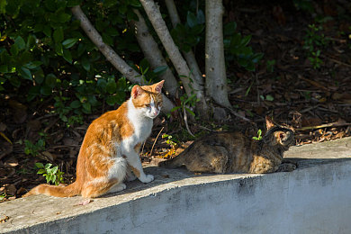 十大禁止安装应用安装包：极速都市暗流，改装风暴中的安全竞速指南-3