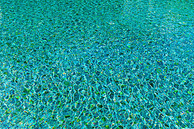 黄色软件下载vivo：疾驰墨西哥，在开放世界赛道点燃竞速之魂-5