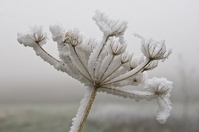 妻子3p:末世三人行,末日驰骋共生之路开启情感驾驶新纪元-5