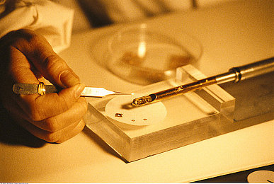 男生和女生搓搓：双人共驾新游极速搭档上线，同步率系统考验搭档默契-3