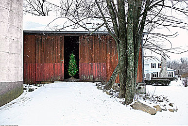 liulian视频黄色APP：极速幻影，数据芯片与地下霓虹的伦理狂飙-4