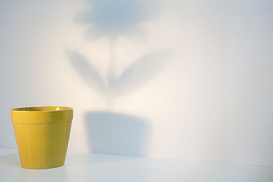 男生和女生叉叉app：《极速社交双星对决》今日上线，赛车竞技融合阵营社交引爆全新体验-4