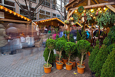 男生和女生上床APP啊啊啊啊啊：虚拟同居模拟游戏心动同栖，用细节经营温暖共同生活-3