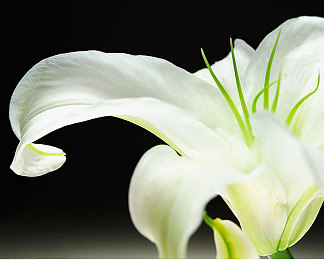 被按摩师按到高潮:极限竞速地平线5全新物理反馈,带来沉浸式驾驶快感专业解析-4