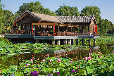 男生的香蕉插入女生的桃子里：鲜果飞车穿梭于绯色花海赛道-3