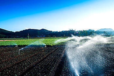 99热只有这里有：墨西哥狂飙，地平线下的永恒引擎与沙尘之诗-3