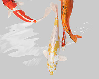 荒野女战士2：废土车神觉醒，年度硬核生存大作今日正式发售，揭秘人车合一终极改装艺术-3