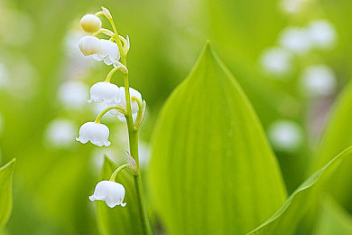 国产一区一区三区四区:极速风云,驾驭城市山海工业海岸四大乐章-4