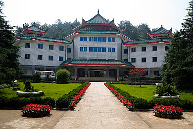 Juliaann办公室与黑人：日间职场精英，夜间街头车神，双重人生极速穿梭-3