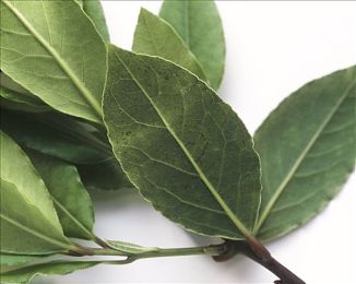 差差漫画网sss:漫画风格赛车新游今日上线,动态赛道与拟真物理引爆竞速狂潮-3