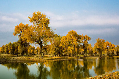 中国成人AV：极速驾驭真实都市，硬核改装征服赛道-2