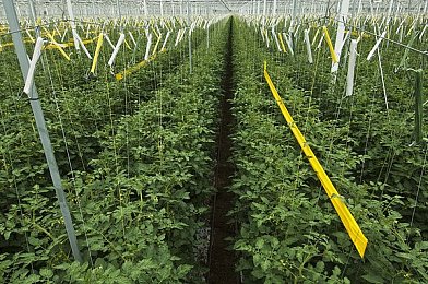 男生女生啪啪啪app：双人协奏，极速羁绊的赛道共鸣曲