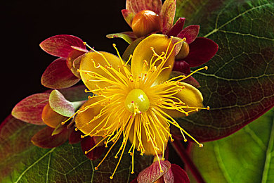 打扑克又疼又爽：《极限狂飙：扑克牌局》正式上线，硬核卡牌竞速引爆肾上腺狂潮-4