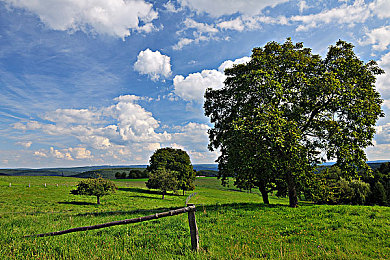 爸爸小新姥姥妈妈：家庭记忆碎片重构，温情解谜修复亲情裂痕-3