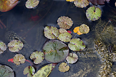 最高爱人诏三上全：虚拟公路上的永恒引擎恋曲-2