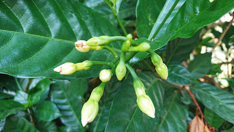 色欲av蜜桃：赛博竞速新作引爆独立游戏圈，霓虹都市中的狂飙体验今日上线-2