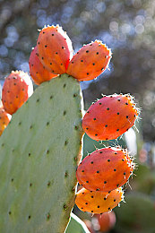 男人把困困放在女生的困困：倦意双行，清醒共生，无尽夜路的相互依存之旅-4