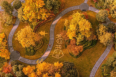 男困困女困困：极限竞速,在方向盘前与睡眠抗争的虚拟旅程-3