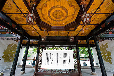 没穿衣服的美女软件：极限竞速地平线模组文化揭秘，透明车壳涂装引发玩家个性化热潮-3