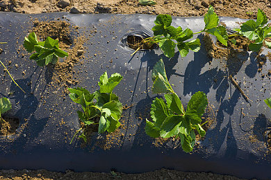 男人把坤坤放进女人的坤坤里：极速融合引爆改装狂潮，坤坤引擎与女神底盘的终极搭配揭秘-4