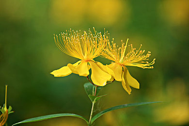 成人acg：当引擎唤醒世界，自由在风景中疾驰的庆典-2