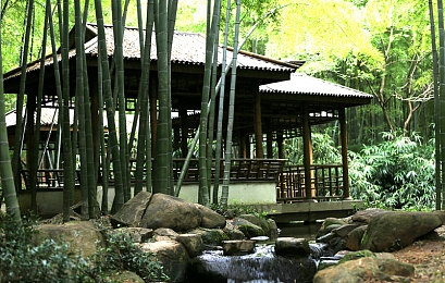 福建导航APP：驰骋山海之间，在真实地貌中体验极致驾驶乐趣-4