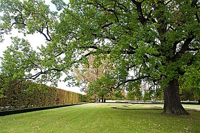 奸逼软件:当代码成为赛道尽头的隐形裁判-4