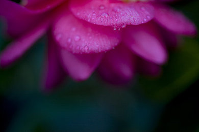 男生插女生下面APP：疾速改装，底盘博弈的终极竞速艺术