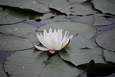 婷婷黄色APP：极速幻影今日上线，驾驭定制超跑开启霓虹赛道视觉盛宴-4