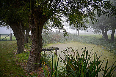 农村AⅤ：麦田咆哮，钢铁巨兽的乡土竞速诗篇