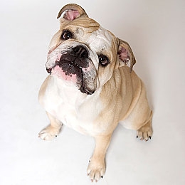 爱情岛官网入口：极速心跳，墨西哥日落海岸的双人驾驶诗篇-2